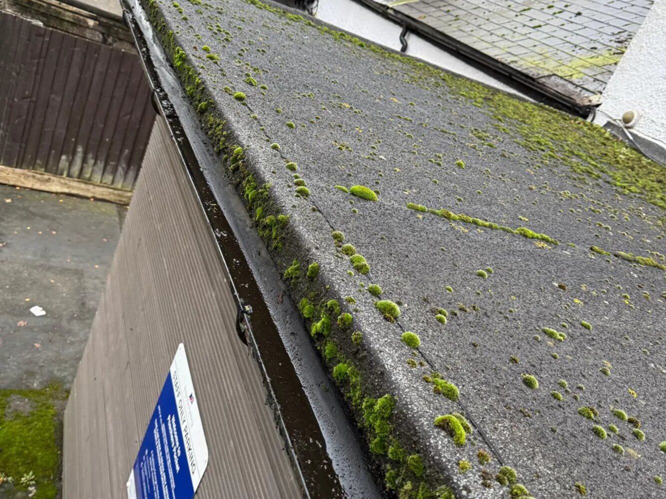Roof with moss before cleaning